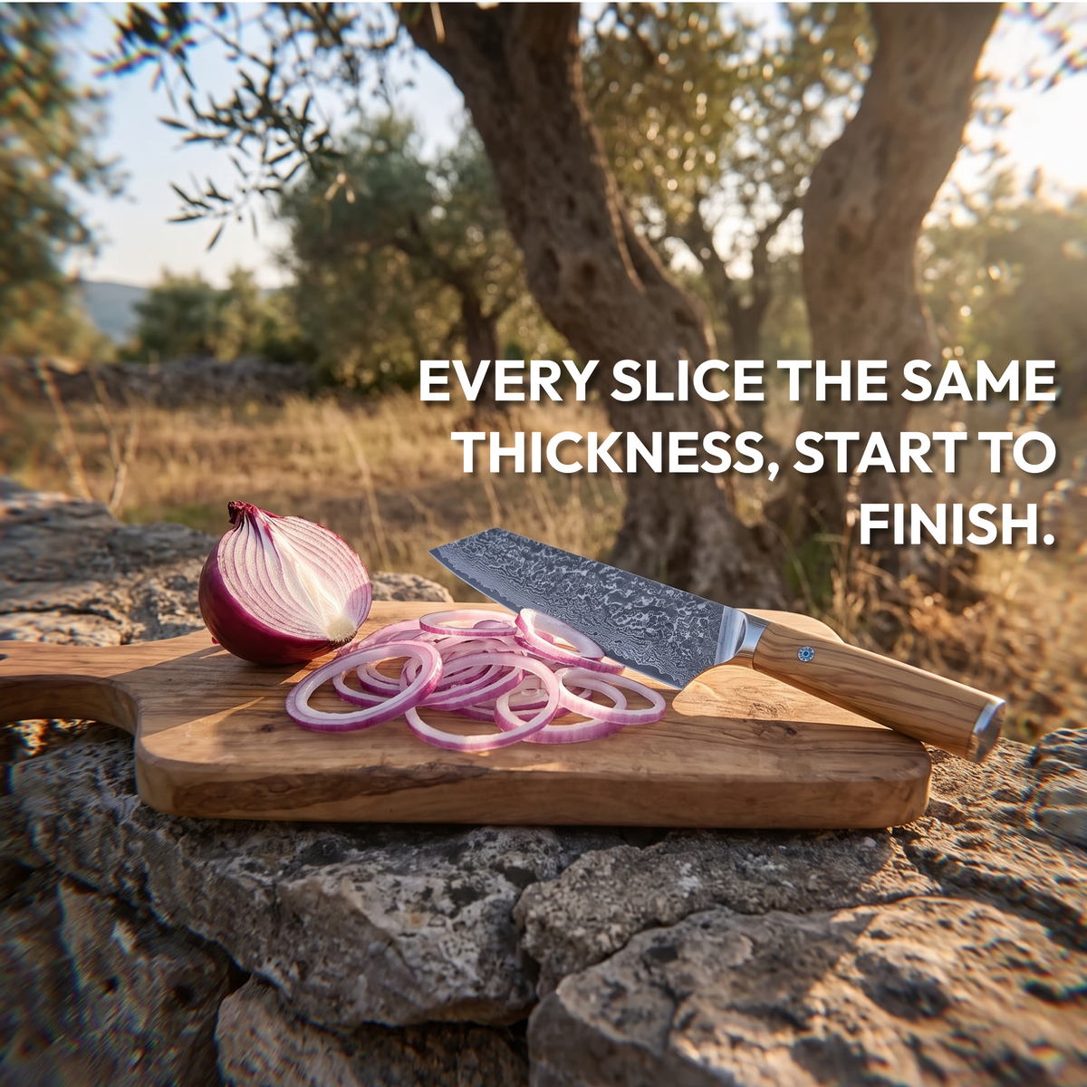 Kiritsuke Knife 18 cm, Galaxy Takumi, with sliced red onion outdoors